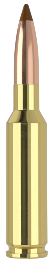 283876661.png